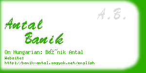 antal banik business card